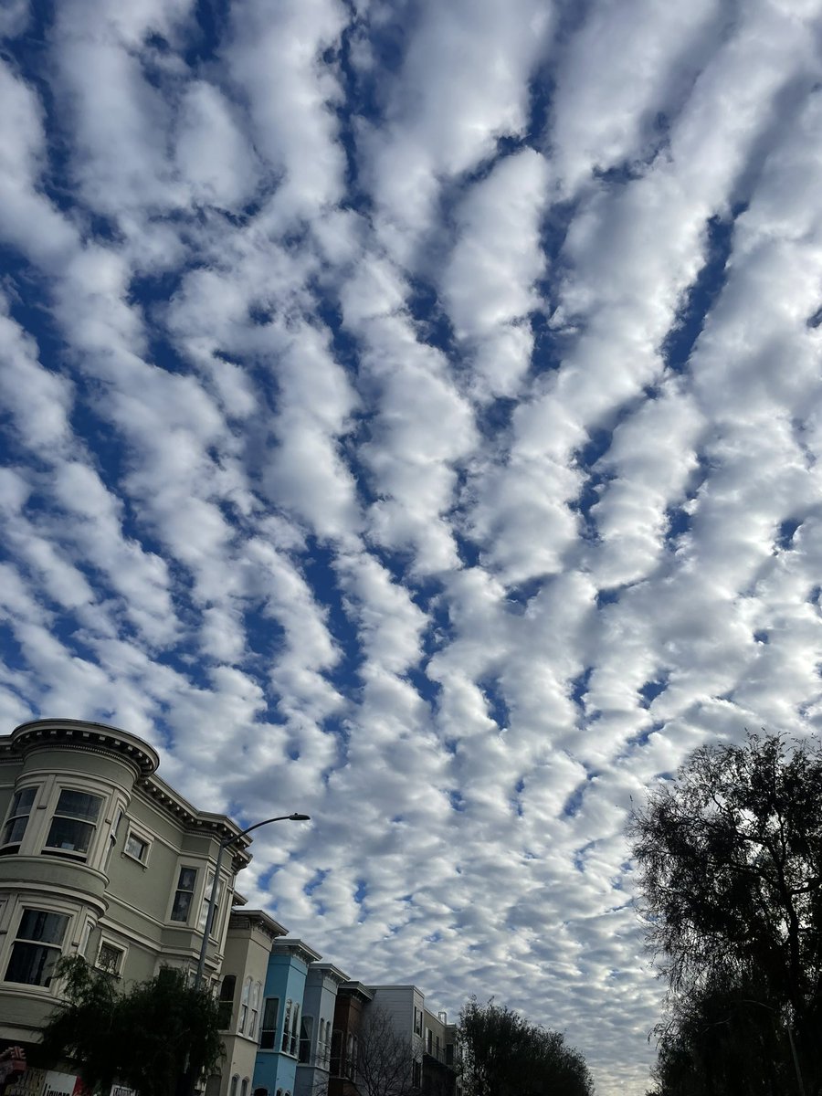 Lee Hepner tweet media