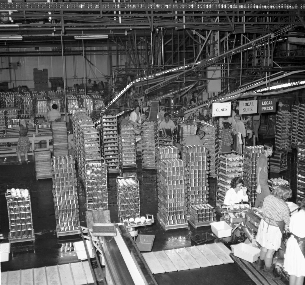 QSArchives's tweet image. #MakeitMonday Spotlight: the #GoldenCircle cannery which played a significant role in processing and canning pineapples, among other fruits, and has been a key part of #QLD's agricultural and food processing industry.

Check out our blog for more info: blogs.archives.qld.gov.au/2018/02/02/gol…