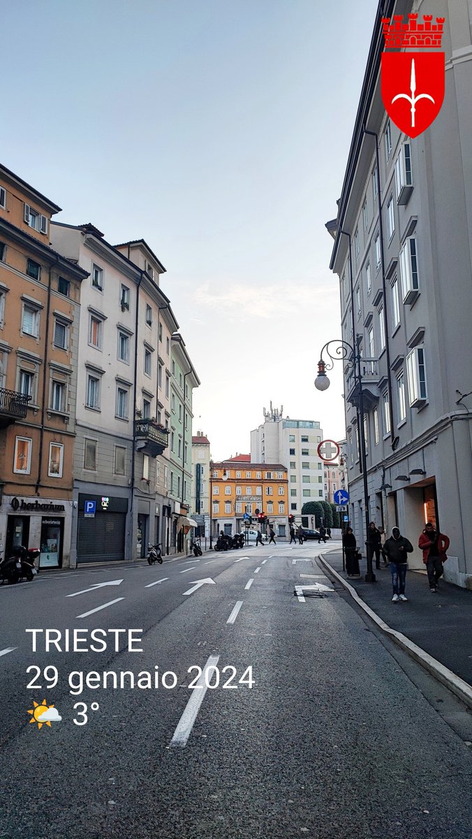 Comune di Trieste tweet media