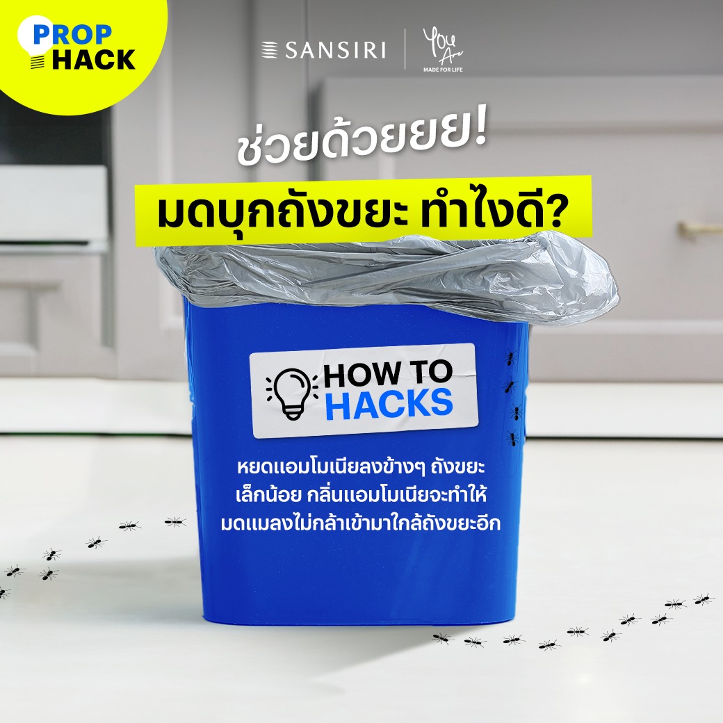 SansiriPLC's tweet photo. กองทัพมด ยกขบวนมาบุกถังขยะอีกแล้วว😱
ฮาวทูป้องกันกองทัพมดขึ้นถังขยะ เพียงแค่หยดแอมโมเนียเล็กน้อยลงข้างๆ ถังขยะ กลิ่นแอมโมเนียจะทำให้มดและแมลงไม่กล้าบุกเข้ามาใกล้ถังขยะอีก
ใครลองแล้วเวิร์ค คอมเมนต์มาแชร์กันนะคะ 😘
#PropHack #Sansiri https://t.co/RAPyaB2QOY