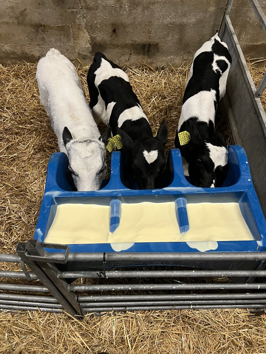 Dan Nattle tweet media