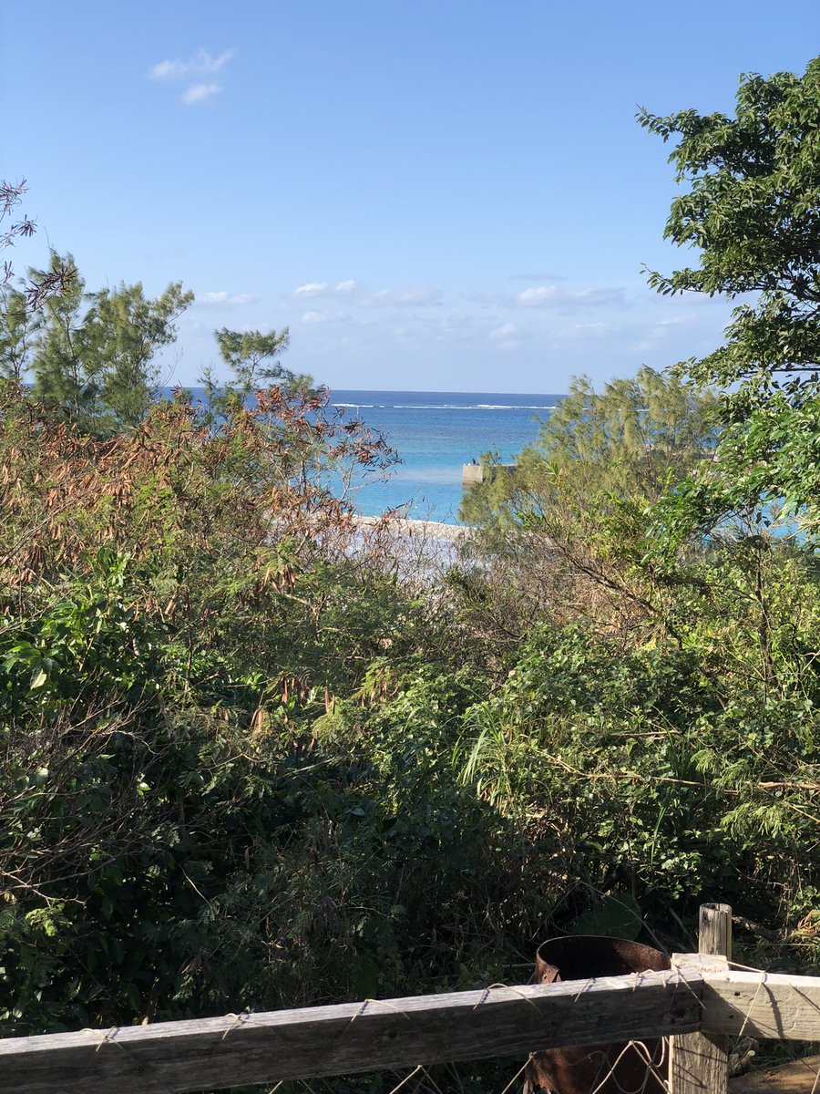 SAMRAITEAMBOSS's tweet image. 木切って少し景色が良くなった👍