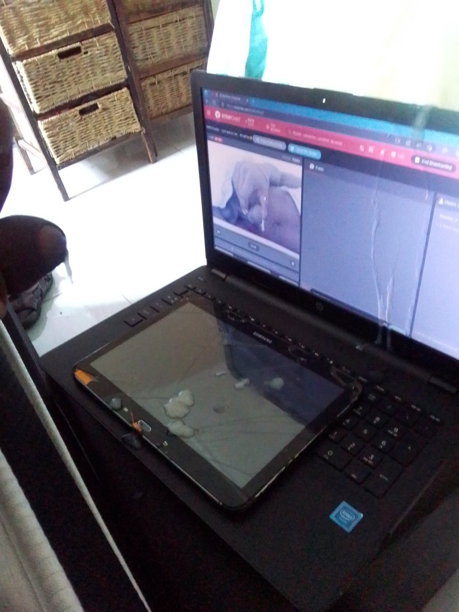 StripChat tweet media