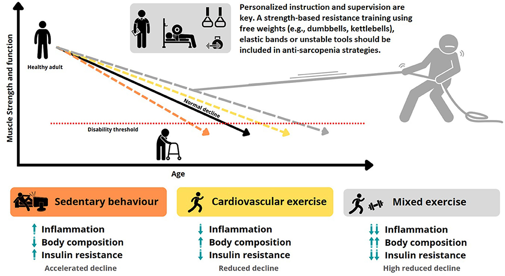💪 Superar la pérdida muscular durante el #envejecimiento es clave para una vida saludable🌟 

¿Por qué el entrenamiento de #fuerza es la clave para combatir la #sarcopenia?🏋️‍♂️

🆓 frontiersin.org/articles/10.33…