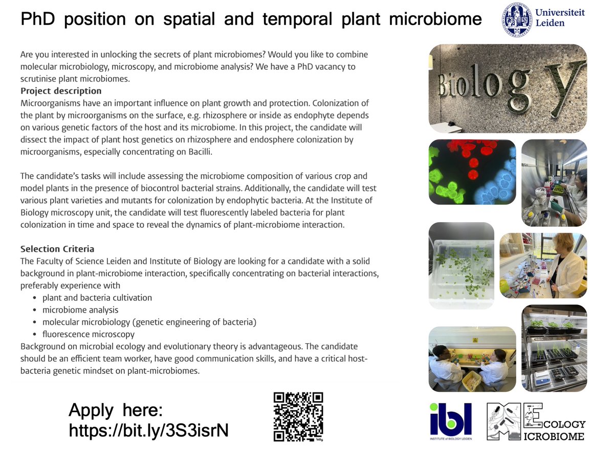 Akos T. Kovacs tweet media