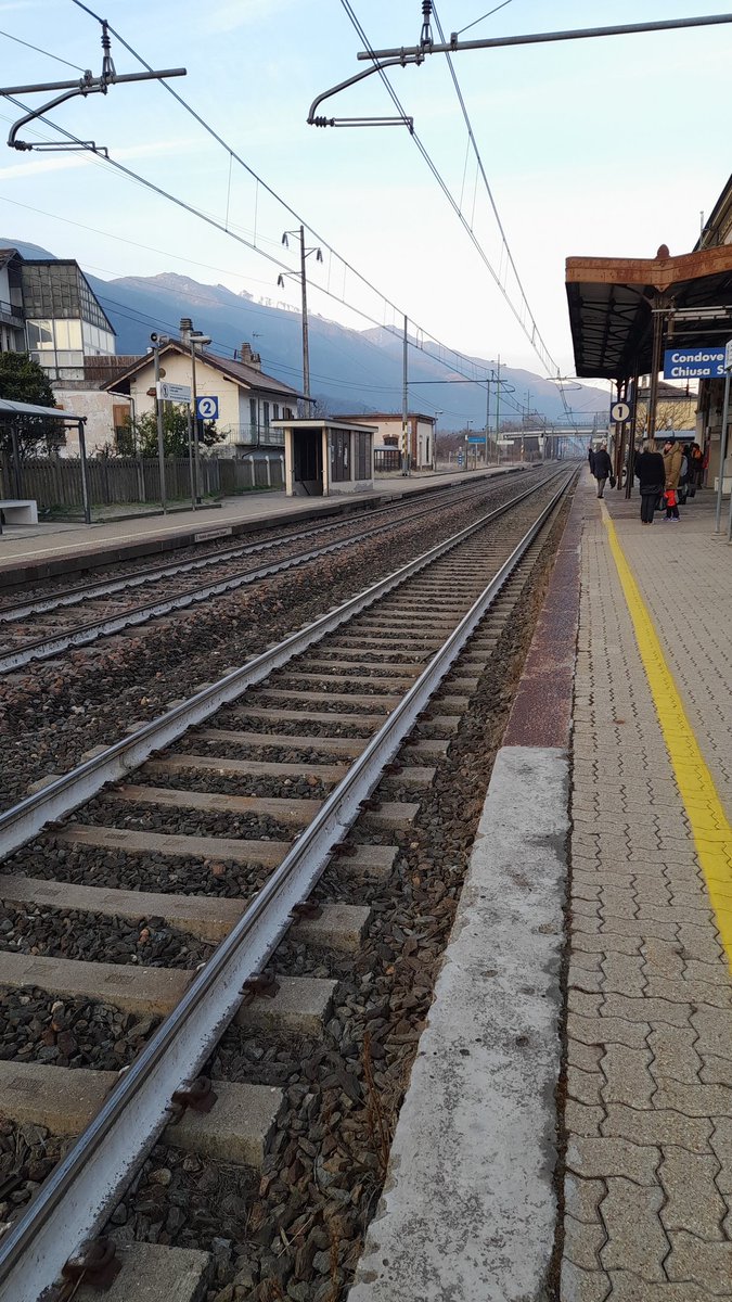 Francesca Frediani tweet media