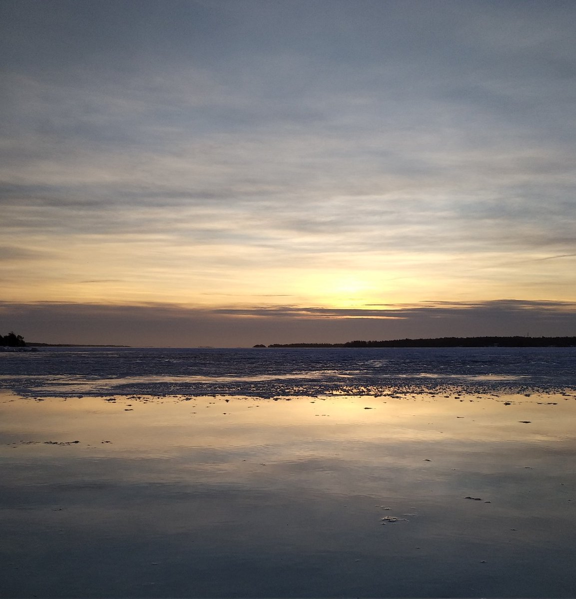 Kersti Sandström tweet media