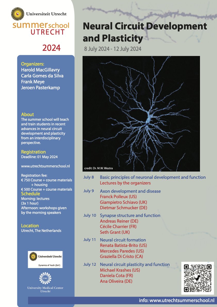 We have a great program again with fantastic invited speakers for our annual Summer School on Neural Circuit Development and Plasticity in Utrecht/The Netherlands in July! 👇 Find more information on the website: utrechtsummerschool.nl/courses/life-s…