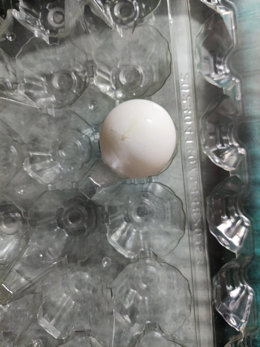 32Shubham's tweet photo. @LiciousFoods @liciouscares Extremely disappointed 👎with customer support team after I complained about my order which was delivered in severely damaged condition. See the quality of products delivered &amp; still no refund was issued stating this is company policy. Id:hc0z6xnlnld1 https://t.co/tDSiA28ZJh