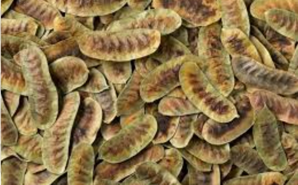 Diyette acıkmaya son veren bitki
#diyet #İstanbul #kadın
Açlık otu
Vücudun yağ yakmasında yardımcı olarak kilo verme sürecini hızlandırır. Doğal müshil etkisi gösterdiği için kabızlık sorununa çözüm sağlar. Bu yüzden bağırsaklara iyi gelir. Uzun süreli tokluk hissi verir.