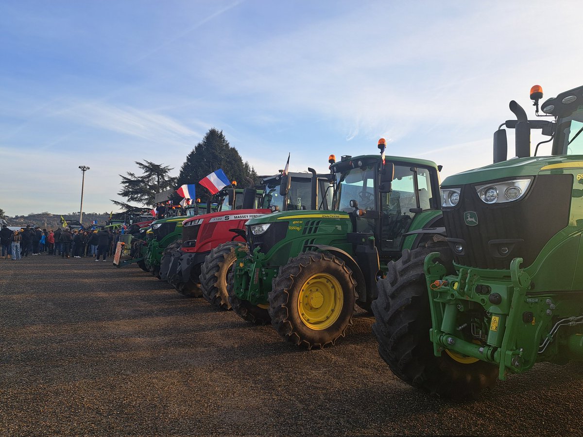 Elodie Viguier tweet media