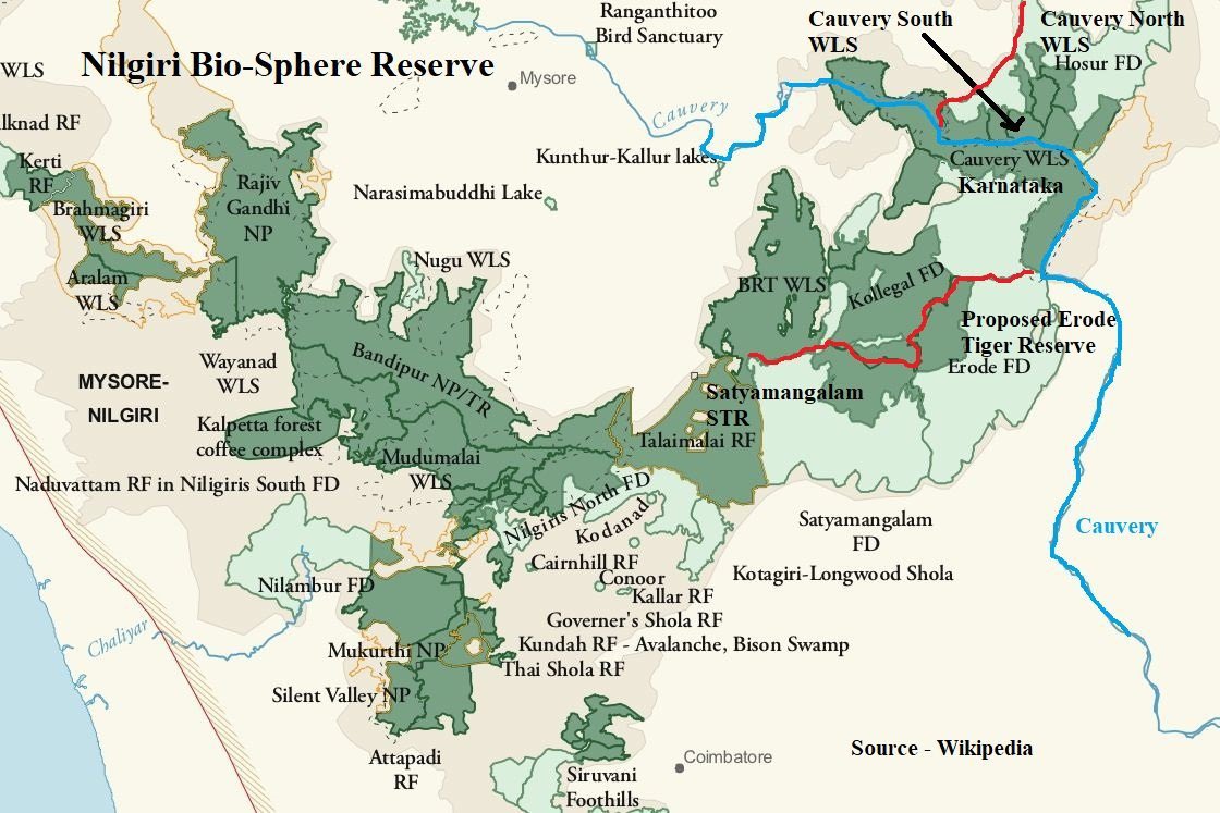 malnadkoos's tweet image. Online campaign for “#SaveBandipura #NammaGandhadaGudi #EcoSensitive #AppikoChaluvali ”: 
When? From Tomorrow morning 9 am-6 pm.

How?Tag forest dept,IFS,journalists,@UNEP &amp;amp; statesmen to draw their attention.