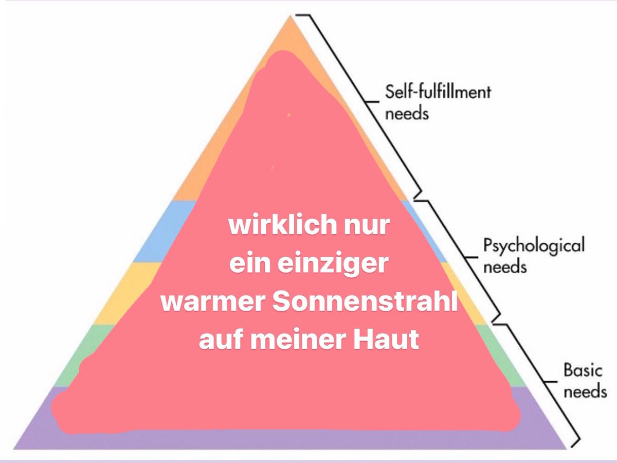 E L   H O T Z O (@elhotzo) on Twitter photo 