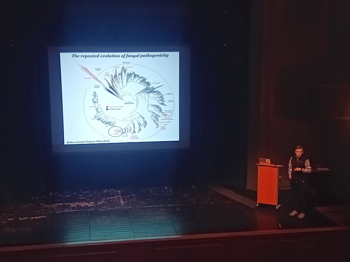 Second week of the Phylogenomics Workshop has started! We begin with @RokasLab talking about incongruence. #evomics2024