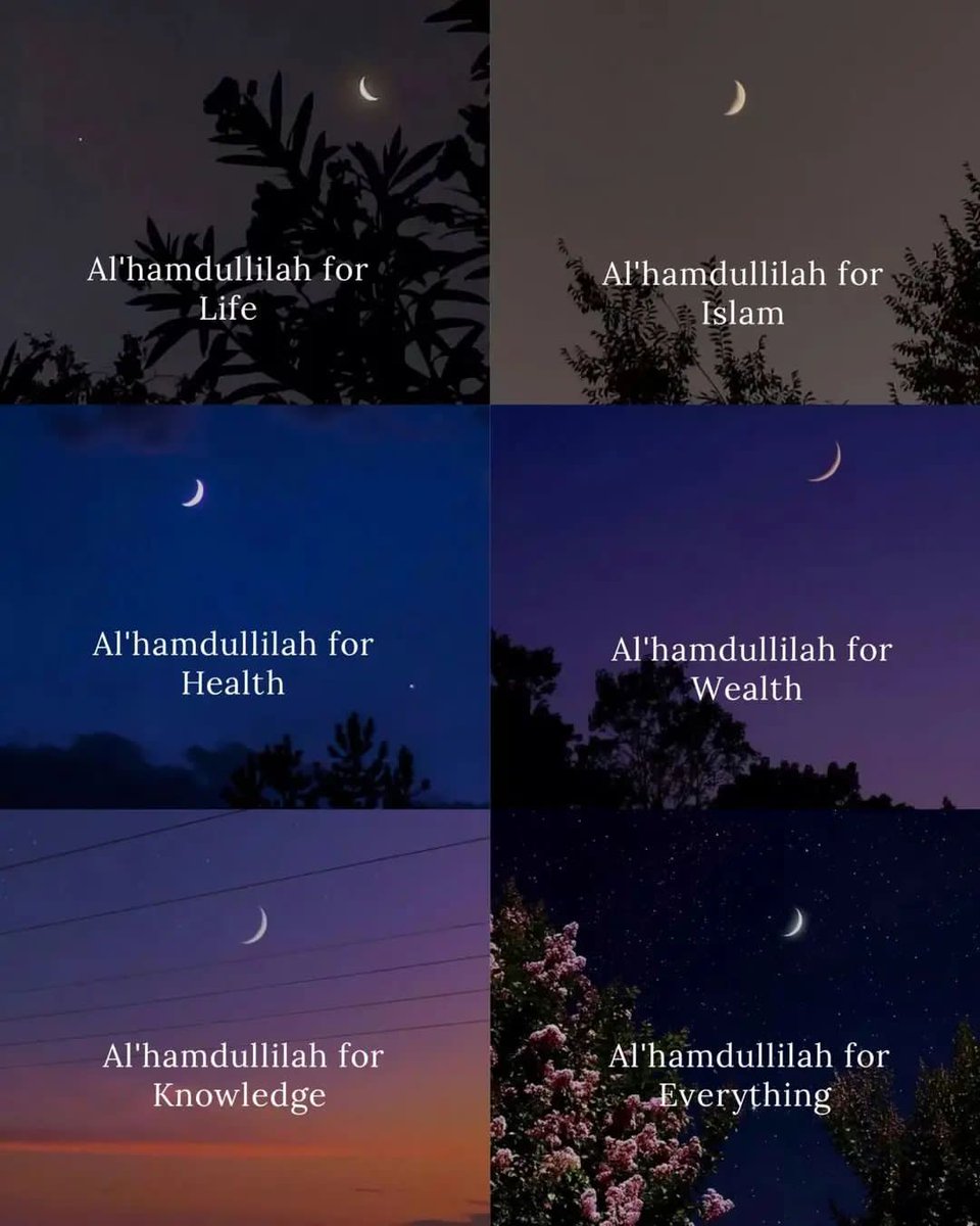 Al__Quraan's tweet photo. Alhamdulillah https://t.co/nsoRQQOezz