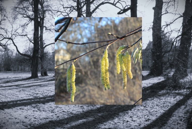 DaliaEis's tweet image. #TwoInOne