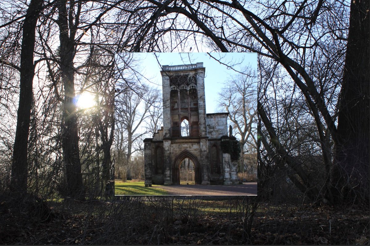 DaliaEis's tweet image. #TwoInOne