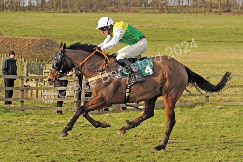 It was another successful trip north for the @Klmorgan15 team as they landed a double on the @NorthernAreaP2P Percy card. Wins also for the @GandTRacing & @station__yard teams. Fully gallery
p2pnorthernphotos.co.uk #gopointing