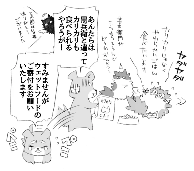 ウェットフードが無くなってしまったそうなので、ご寄付を募らせて頂きます。
どうぞどうぞ、よろしくお願いします🙇‍♀️

https://t.co/ziQjMIoDQY 
