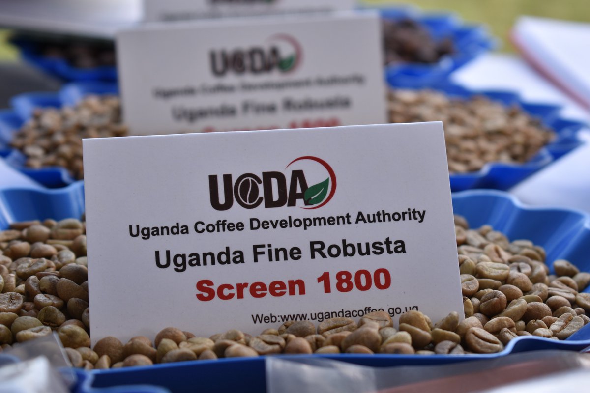 UgandaCoffee_'s tweet photo. COFFEE PRICES: Today's farmgate prices in UGX/Kilo 
Kiboko 4,000-4,600 
FAQ 9,200-9,800 
Arabica Parchment 11,00-12,000 
Drugar 9,500-10,000

Africa's 25 coffee-producing countries declared☕️a strategic commodity that can contribute significantly to the continent's development. https://t.co/LFP8QLpmyk