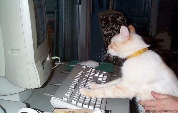 OldInternetFeel's tweet photo. https://t.co/gZT8YxgrFN