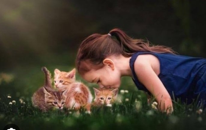 Samimiyeti seviyorum, içinde Yaşam var..!
Günaydın yeni güne yeni haftaya💫☕️