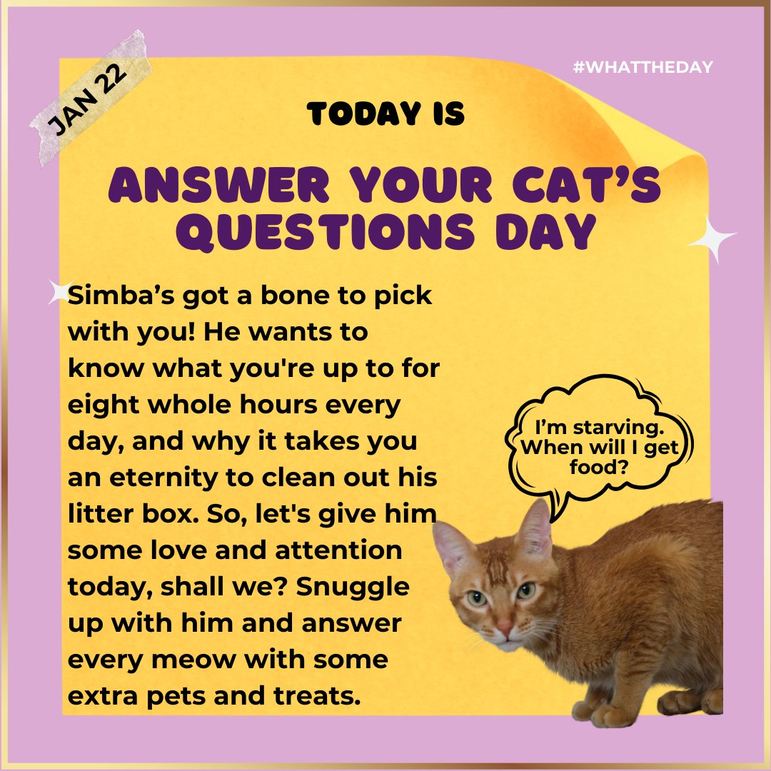Don't escape your curious cat today. Okay. Okay?
.

.
#catnip #catmeme #cattoys #madeinindia  #cats #pettoys  #toy #meow #catniphigh #catniptoy #catsoncatnip #pets #whattheday #Indian #India #funny #indiancat #hrikutoys #hrikucattoys