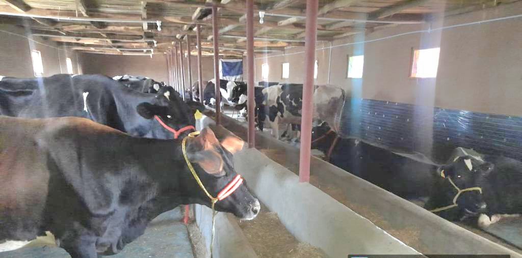 RisingKashmir's tweet photo. #Anantnag is the new ‘#Anand of #Kashmir’: #Official
With #dailymilk production of 7.29 lakh #litres, #Anantnag overtakes #Pulwama
Reports @javidsofii
@AnantnagDIPRC @DCAnantnag
@DivComKash @OfficeOfLGJandK
@diprjk
https://t.co/SRTY4RCIie https://t.co/iTY2UaBXZ1