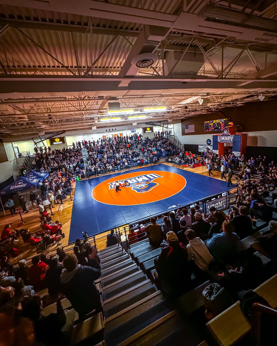 UMary Wrestling tweet media