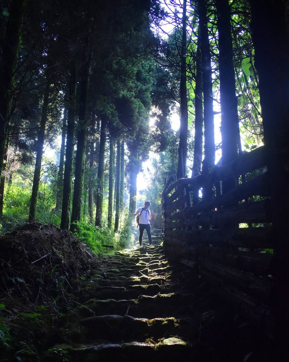 gilehrio's tweet photo. In the heart of nature, our guest stands, surrounded by peace. #mountains #mountainlife #mountainlover #ecotourosim #peace https://t.co/BHHCY4BAfu