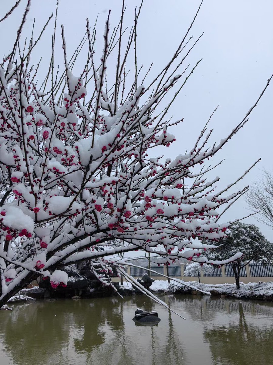 三木Trader tweet media