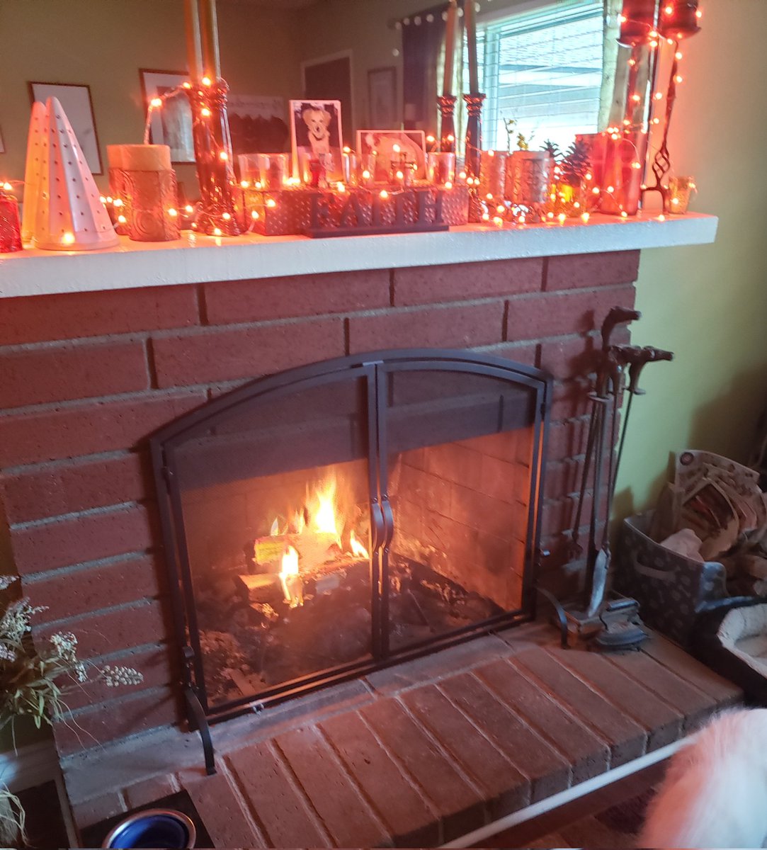 MushKat's tweet photo. Lunchmeat is plotting my sudden demise for letting the fire burn out (he doesn't know I can see him).
So I built him another one.
#LiveToSeeAnotherDay https://t.co/9Grfo1eB3R