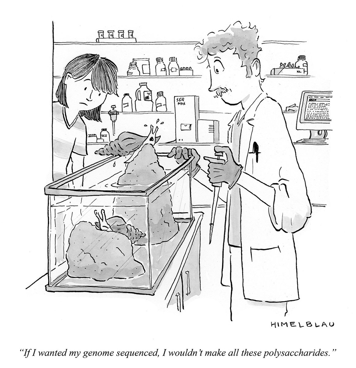 Benjamin Daniels (@benjaminda90011) on Twitter photo Check out our recent publications on the genome and transcriptome of Kellet's whelk as well as the challenges of extracting high quality DNA from marine invertebrate tissue! frontiersin.org/articles/10.33… via <a href="/FrontMarineSci/">Frontiers - Marine Science</a> and peerj.com/articles/16510/ via <a href="/PeerJLife/">PeerJ - the Journal of Life & Environment</a>
<a href="/CalPolyCSM/">Cal Poly Bailey College of Science and Mathematics</a> Check out our recent publications on the genome and transcriptome of Kellet's whelk as well as the challenges of extracting high quality DNA from marine invertebrate tissue! frontiersin.org/articles/10.33… via <a href="/FrontMarineSci/">Frontiers - Marine Science</a> and peerj.com/articles/16510/ via <a href="/PeerJLife/">PeerJ - the Journal of Life & Environment</a>
<a href="/CalPolyCSM/">Cal Poly Bailey College of Science and Mathematics</a>