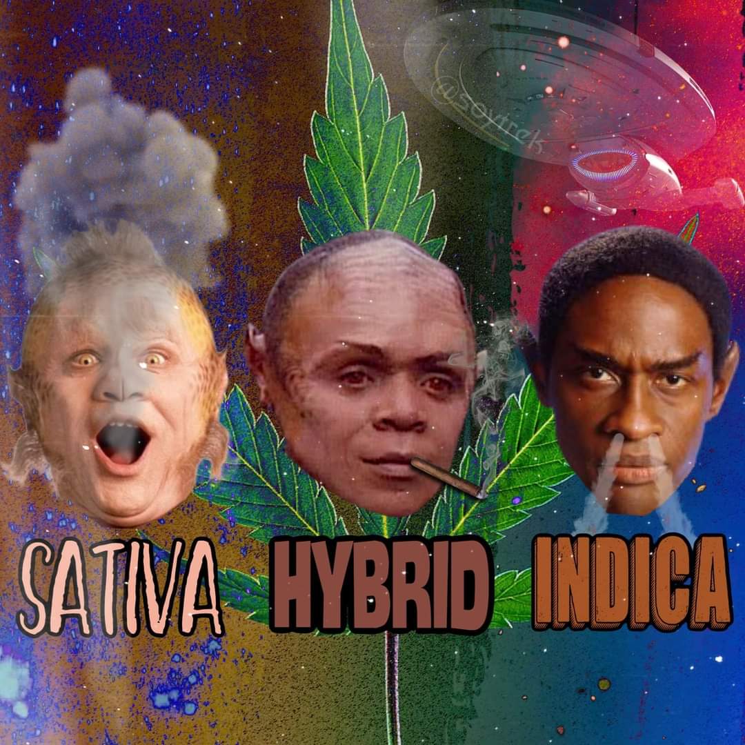 Stonerfleet Command - UFP tweet media