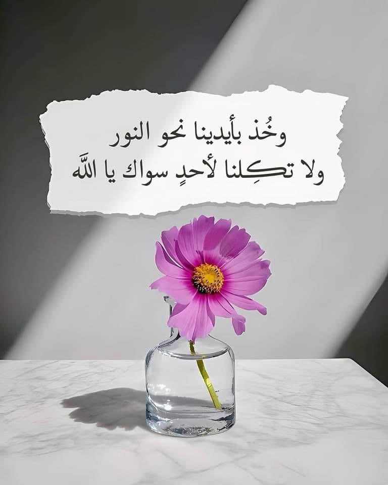 #بعد_منتصف_الليل

يا رب ردنا لبابك مردًّا جميلًا.. واغفر لنا ما كان منّا