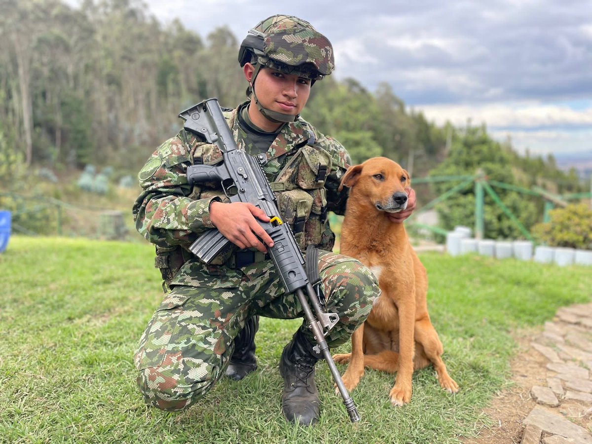 COL_EJERCITO's tweet photo. Soldados @Ejercito_Div5, invitan a la población civil a unirse a la campaña de adopción de 15 perritos rescatados por los soldados, durante operaciones de consolidación territorial en los municipios de Soacha y Sibaté, Cundinamarca.

#SoldadoEsServicioSocial https://t.co/UT0AQtHW3Y