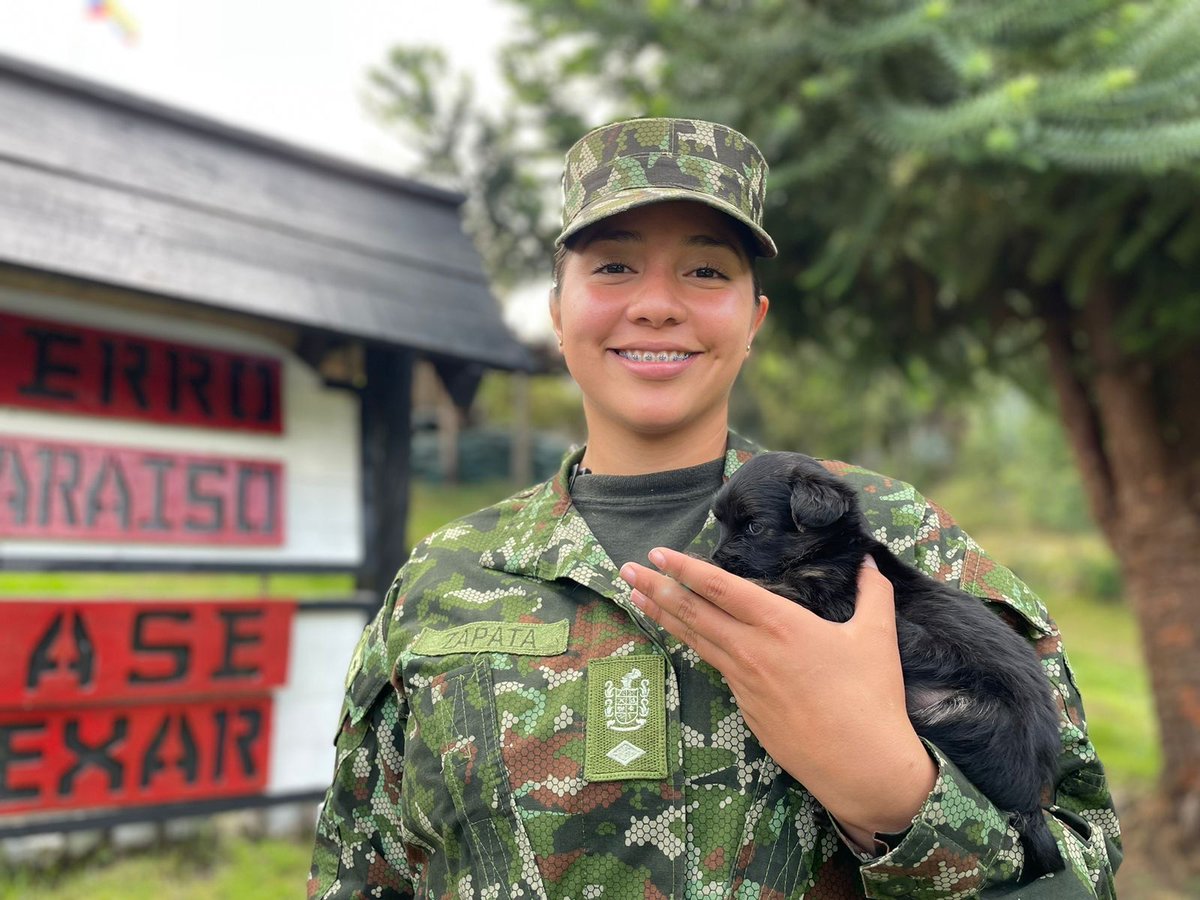 COL_EJERCITO's tweet photo. Soldados @Ejercito_Div5, invitan a la población civil a unirse a la campaña de adopción de 15 perritos rescatados por los soldados, durante operaciones de consolidación territorial en los municipios de Soacha y Sibaté, Cundinamarca.

#SoldadoEsServicioSocial https://t.co/UT0AQtHW3Y