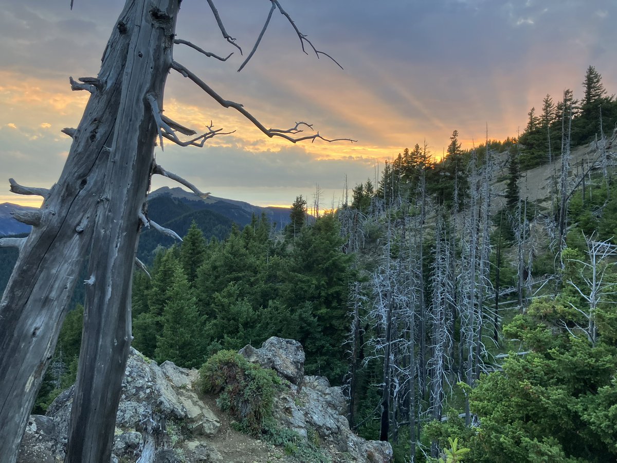 ezusthid's tweet photo. olympic peninsula, august 2023 https://t.co/AYug8uxTmF