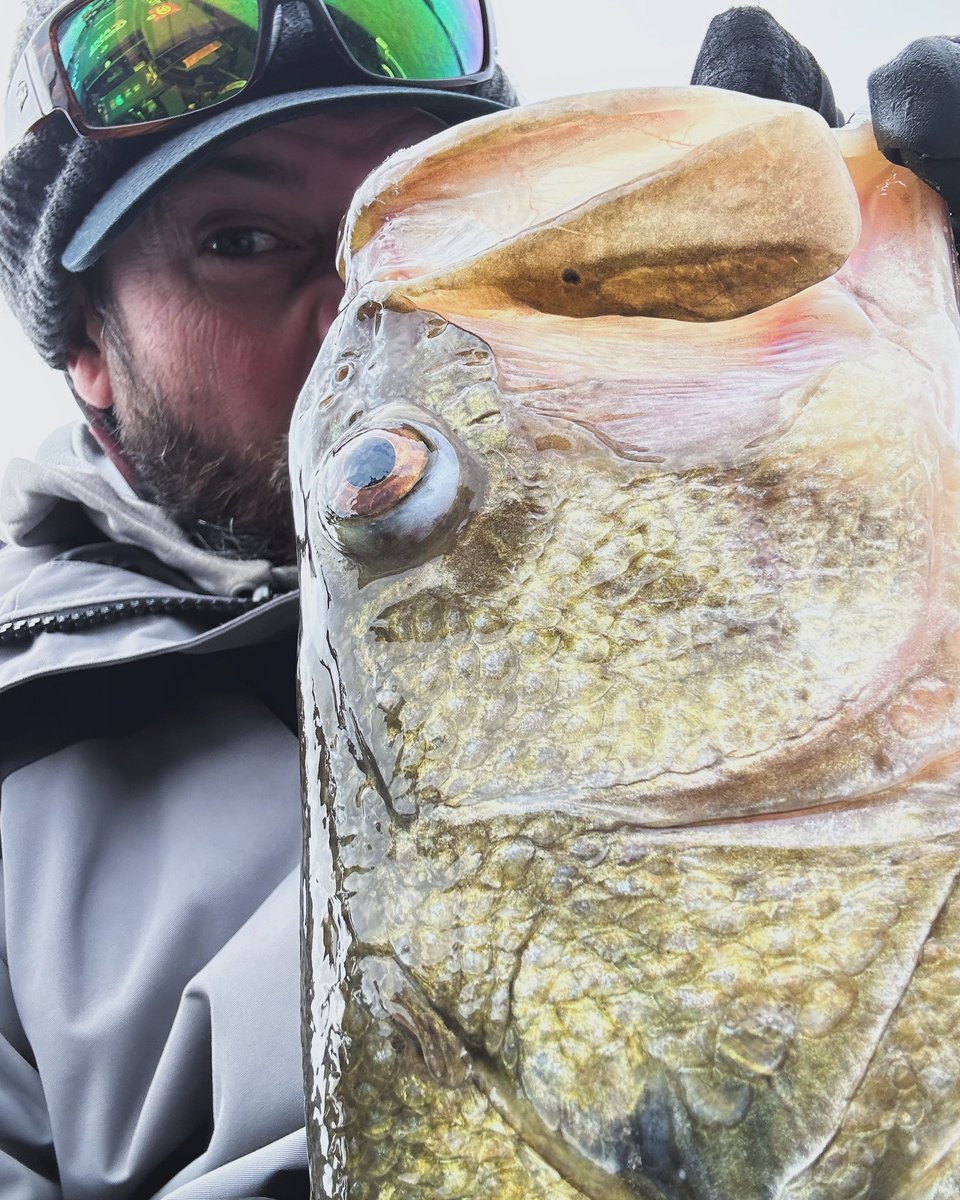 mike_Iaconelli's tweet photo. How many of you think Iβm always BIG eyeing my fish? π ποΈ π #giant #bigone #fullgrown #monster #lunker #slaunch https://t.co/19kcTXMx0E
