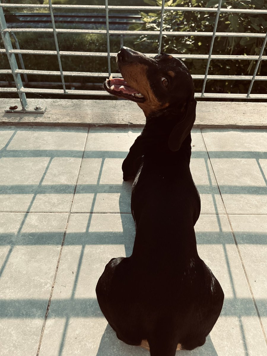 cómo te extraño mi negra fan del sol 🌈🥹