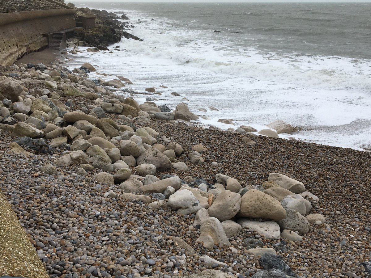 Peter Minter tweet media