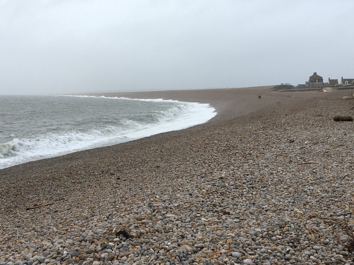 Peter Minter tweet media