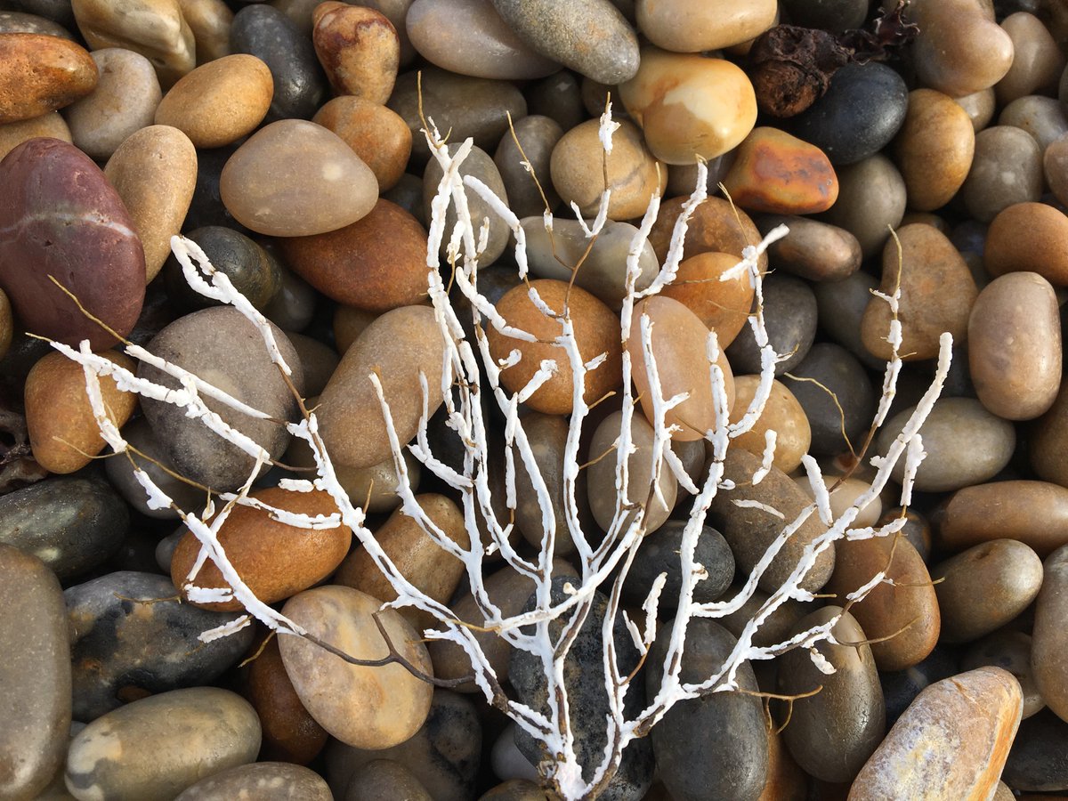 Peter Minter tweet media