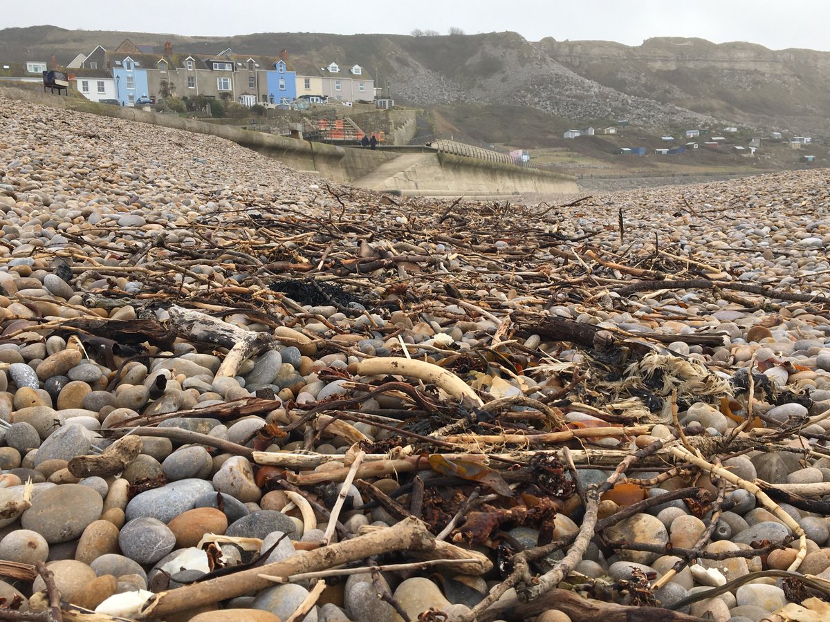 Peter Minter tweet media