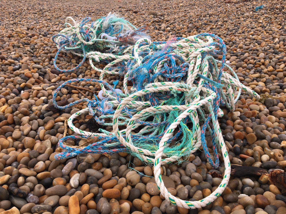 Peter Minter tweet media