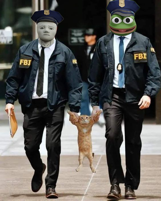 SolanaCopAgency's tweet photo. You're not funny enough, kitty. Charged for continuous headgear spam! 🧦

$COP https://t.co/shvaVGE7BJ