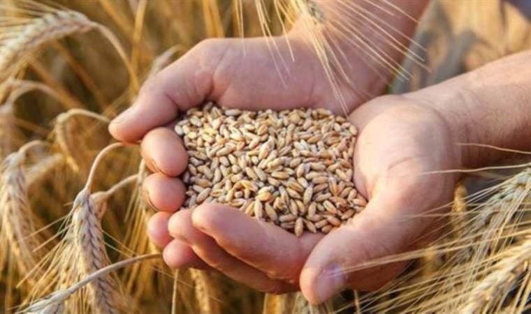cumhuriyetgzt1's tweet photo. TMO'dan 7 bin 500 ton hububat çalınmıştı

Yargıtay'dan Konya Valisi Vahdettin Özkan hakkında karar!
https://t.co/LRHI1CFXMA https://t.co/WSZZiwE5cU