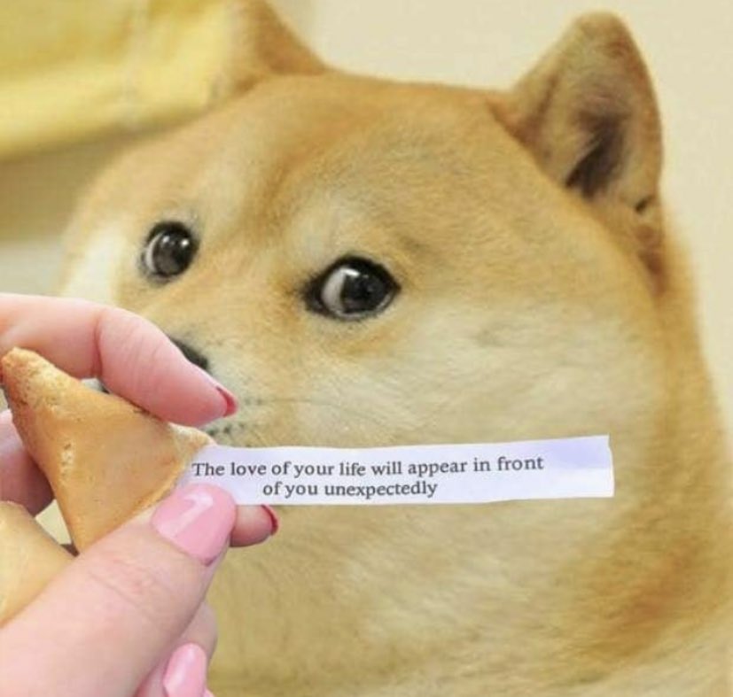 dogeofficialceo's tweet photo. https://t.co/lS2CV7bxUi