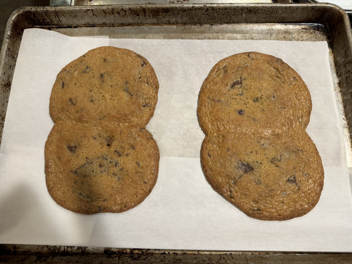 Sad … telophase cookies. Still delicious, I suspect. But sad. #kingarthurflour #chocolatechip #cookies @MeCookieMonster