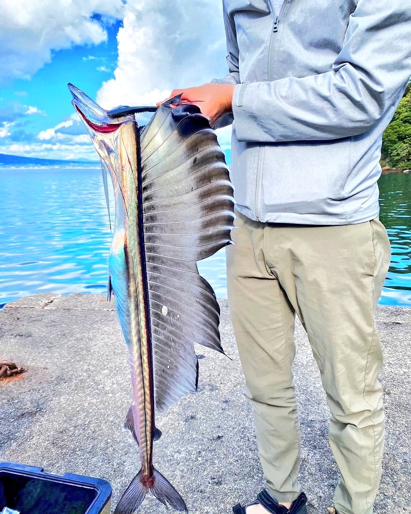 PicoQuest's tweet photo. ①人生初ソルトルアーフィッシング釣果がまさかの深海魚!
（ワールドシャウラリミテッド入魂）
②特大鮎!
（人生初河川でいきなり巨鮎）
③氷上シナノユキマス!
（30分で３尾の奇跡）
④氷上ワカサギ釣りでヌシ大岩魚!
（ハリス0.175号）

#釣り好きな人と繋がりたい https://t.co/nzrzDCoHDT